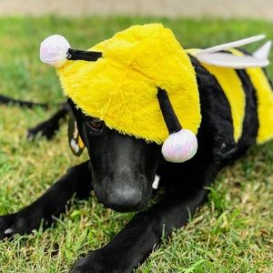 THRILLS & CHILLS | Bee Costume, MED